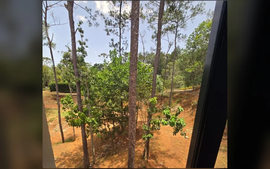 Vista a arboles y entorno verde desde la propiedad en Jarabacoa