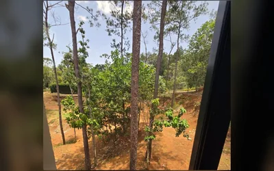 Vista a arboles y entorno verde desde la propiedad en Jarabacoa