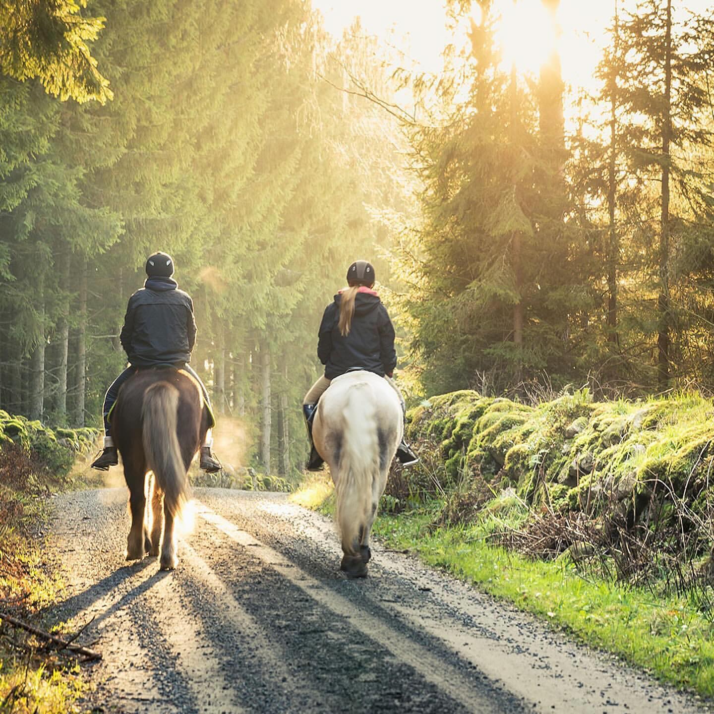 Sendero de cabalgata como referencia de vida al aire libre