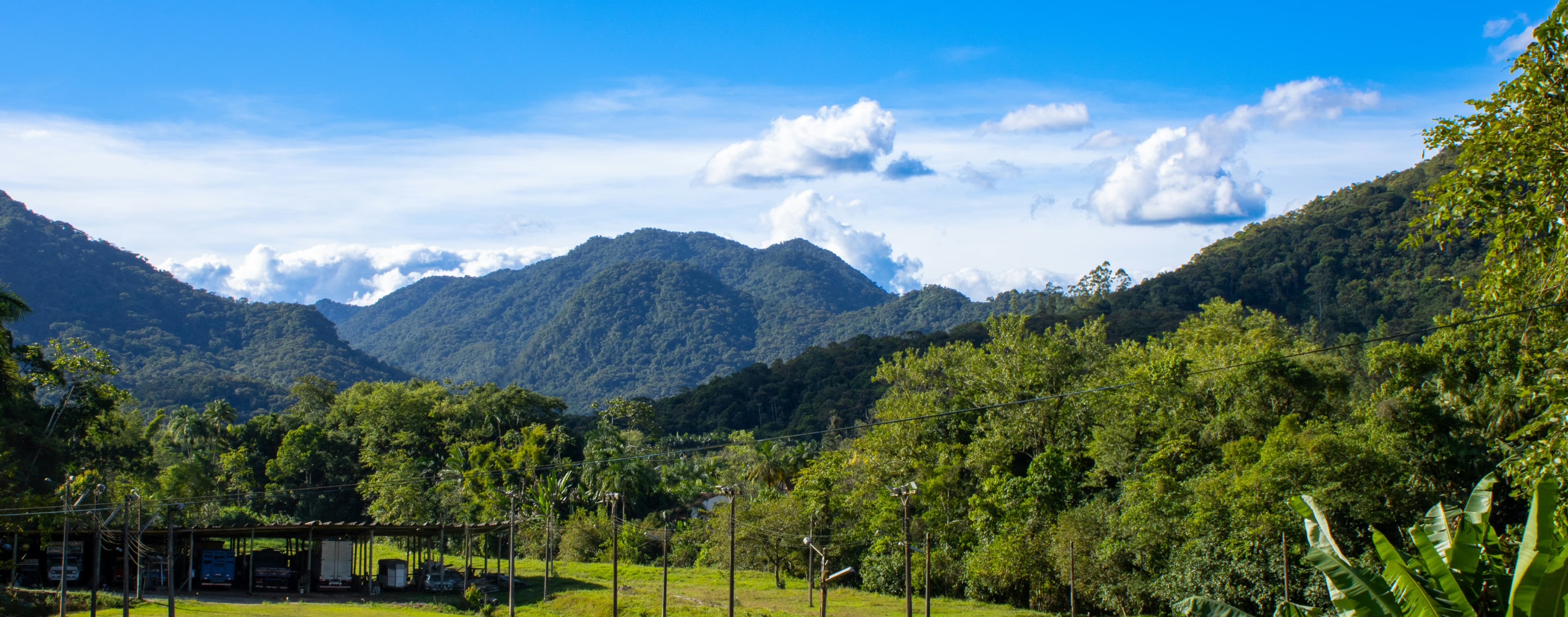 Cordillera verde de Jarabacoa